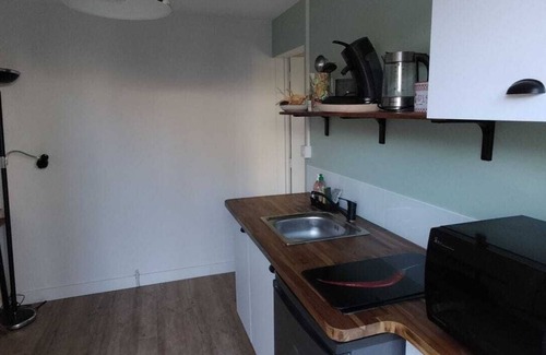 Rocabey - Alsace - Gare Apartment | T2 de 26 m2, Avec Espace Jardin