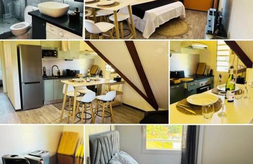 Cayenne Apartment | T2 LE COSY, au cœur de Montjoly, parking, clim
