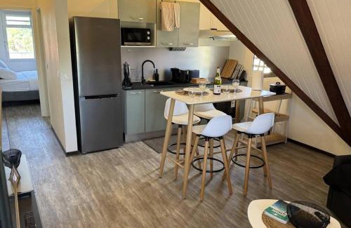 Cayenne Apartment | T2 LE COSY, au cœur de Montjoly, parking, clim