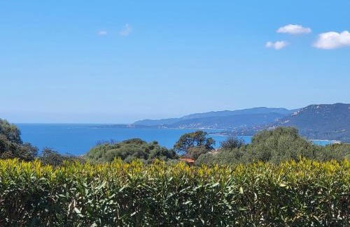 Viggianello Apartment | Oceanfront T2 Propriano: 4-Star Stay with Private Beach