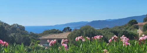 Viggianello Apartment | Oceanfront T2 Propriano: 4-Star Stay with Private Beach