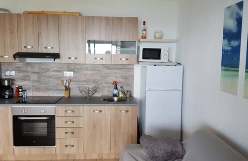 Piton Saint-Leu Apartment | Incredible Ocean View T2 with Kitchen, Parking & WiFi