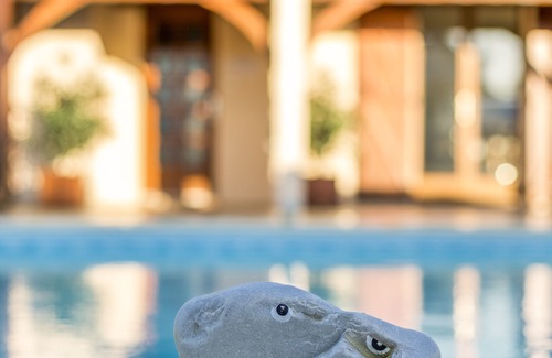 Bordeaux-Lac House | Cozy T3 with Oceanfront Views, Rated 9.6/10 by Guests