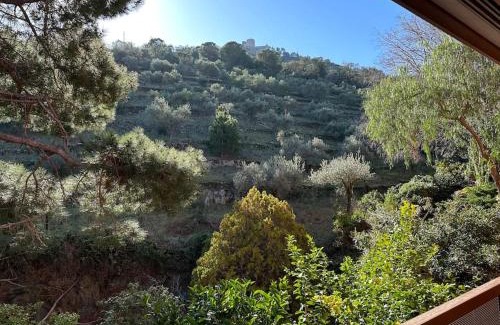 Collioure Apartment | Oceanfront T3 Grand with Private Garage, Steps to Beach