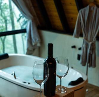 Nova Petropolis Cabin | Discover Taboo Refúgio: A Pet-Friendly Getaway