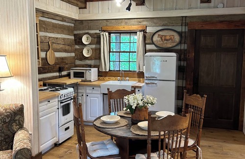 Wildwood Cabin | Top-Rated Tadpole Cabin: Family and Pet-Friendly Retreat