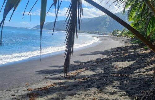 Papara House | Beachfront Taharu'u Guest House with Ocean View & Kids' Fun