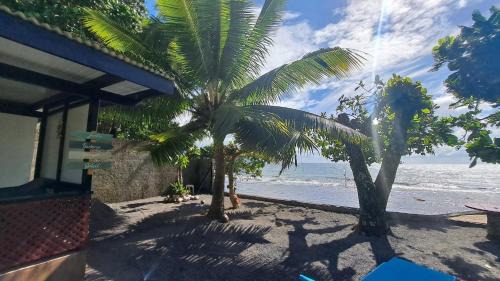 Afaahiti House | Paradise Awaits at TAHITI - Motu Nono Beach View