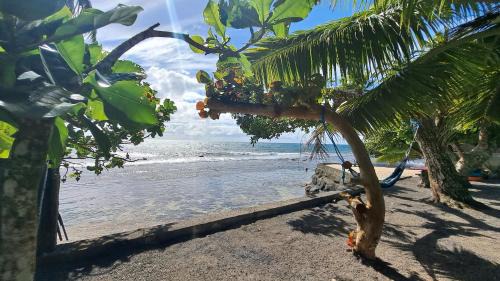 Afaahiti House | Paradise Awaits at TAHITI - Motu Nono Beach View