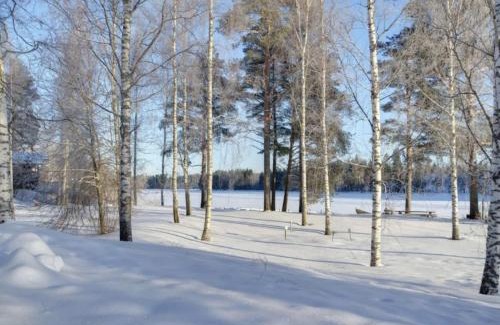 Tahkovuori Villa | Serene TAHKOn Riihiranta Villa with Lake View & Private Beach