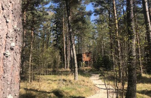 Hiiumaa House | Seaside Escape at Tahkuna Tree-House with Ocean View