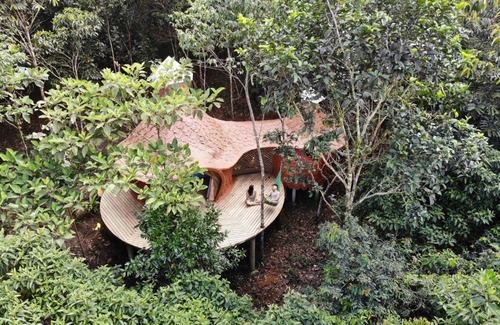 San Carlos Other | Experience Nature at Taibará Refugio Natural: Rated 10/10