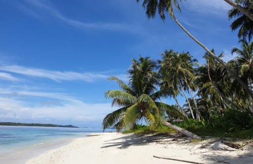 Kepulauan Banyak Resort | Discover Tailana Island Pulau Banyak: Private Beach Retreat