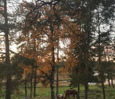 Tampere Other | Taivasalla glamping - luxury stay with a view to the lake