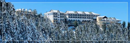 Theog Resort | Relaxing Taj Theog Resort & Spa in Beautiful Shimla