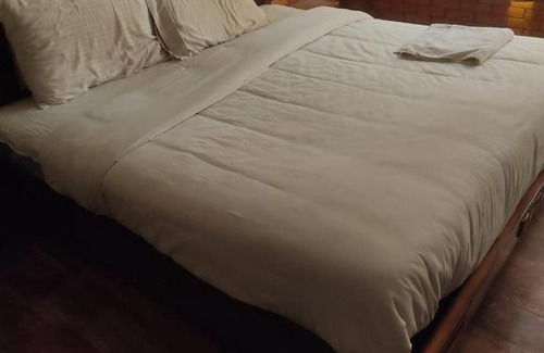 Theog Apartment | Pet Friendly Taj Valley View - Guest Rated 10/10