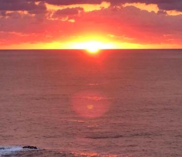 Yakushima Hotel | Discover Takahira Base - Family-Friendly & Pet Welcoming