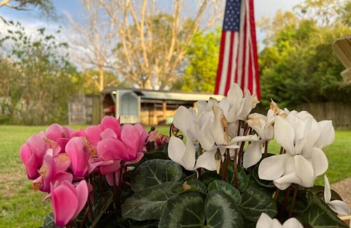 Tillmans Corner House | Discover Freeway Lane: Ocean View & Pet-Friendly Retreat