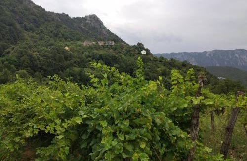 Virpazar Apartment | Guest Rated 9.3: Take a Lake - Zabes, Virpazar Awaits