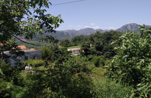 Virpazar Apartment | Guest Rated 9.3: Take a Lake - Zabes, Virpazar Awaits
