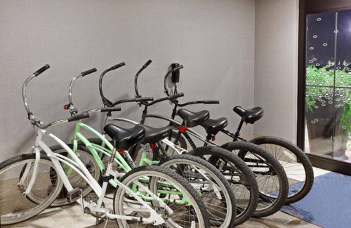 Alameda House | Relax Before Your Flight: Pet-Friendly Stay Near Oakland