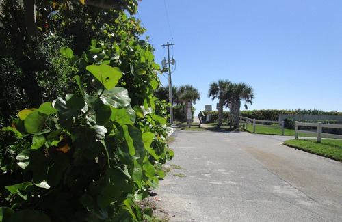 Crescent Beach Cottage | Oceanfront Bliss with Pool & Breakfast | Guest Rated 9.8