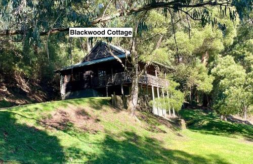 Apollo Bay House | Relax at Tall Trees Eco Retreat - Family-Friendly Fern Cottage