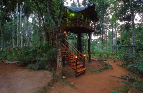 Kidanganad Villa | Discover Tall Trees: Modern Villa in Wayanad with Breakfast