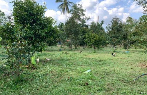 Lan Saka House | Welcoming Taluangjit Resort & Garden: Pet-Friendly Retreat