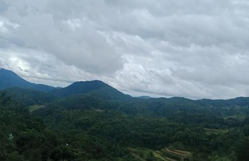 Banaue Hotel | Discover TAM-AN HOTEL BANAUE: Family-Friendly Retreat