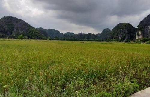 Hoa Lu House | Discover Tam Coc Riverside Homestay: Pet-Friendly Retreat