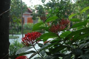 Hoa Lu House | Pet-Friendly Tam Coc Thanh Dat Homestay with Ocean View