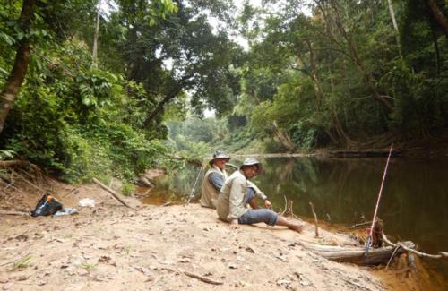 Kuala Tahan Cabin | Riverside Retreat: Taman Negara River View Lodge Awaits
