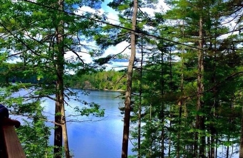 Paradox Cabin | Discover Tamarack: Pet-Friendly Cabin Steps from Beach