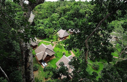 Tambopata Cabin | Discover Tambopata Ecolodge: Rated 10/10 with Spa & Dining