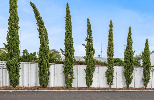 South Tamworth Hotel | Comfortable Stay at Tamworth Lodge Motel | Pet Friendly