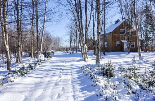 Indian Brook Ski Chalet | Experience Tan Chalet at Cabot Shores Wilderness Resort