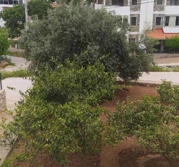Datca City Center Apartment | Inviting Taner Apart: Child-Friendly Retreat Awaits You