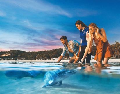 Brisbane Waterfront Resort | Experience Tangalooma Island Resort with Oceanfront Views