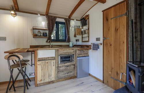 Kingswood Cottage | TANGLEWOOD SHEPHERDS HUT, romantic, with hot tub in Welshpool