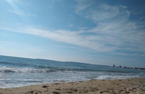 Chaika Apartment | Discover Tania's Home: Oceanfront Oasis with Pool
