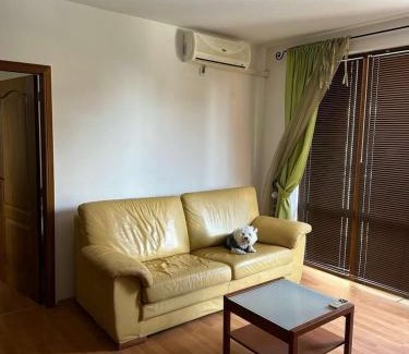 Chaika Apartment | Discover Tania's Home: Oceanfront Oasis with Pool