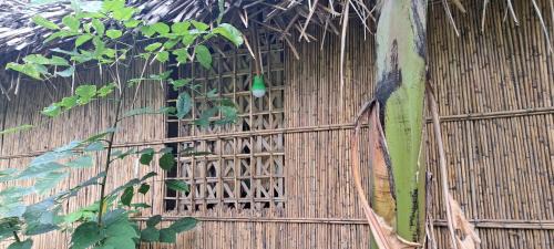 Tanna Island Bed & Breakfast | Cozy Tanna Chez Nous Bungalow with Pet Friendly Perks