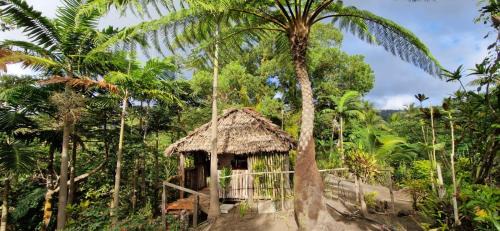 Tanna Island Bed & Breakfast | Pet-Friendly Retreat at Tanna Lava View Bungalows