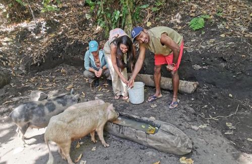 Tanna Island Bed & Breakfast | Pet-Friendly Retreat at Tanna Lava View Bungalows