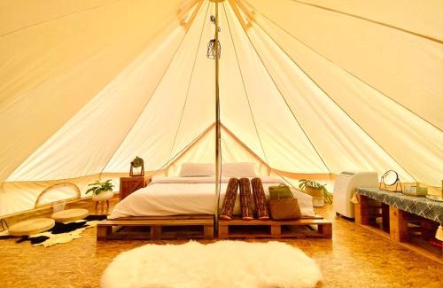 Khlong Sok Other | Discover Tanoshi Glamping in Khao Sok - Rated 9.3/10!