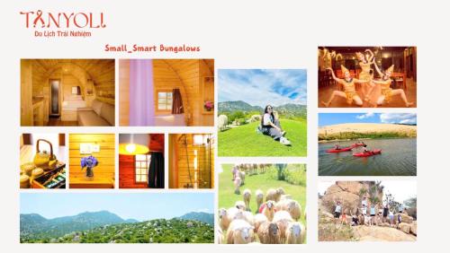 Phan Rang Resort | Discover Tanyoli Resort: Pet-Friendly Getaway with Breakfast