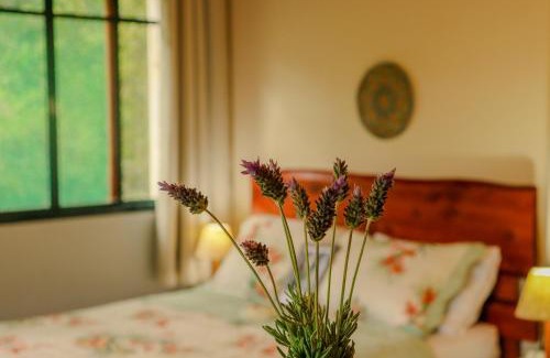 Sao Bento do Sapucai Apartment | Unforgettable Stay at Tapovan - 10/10 Guest Rated