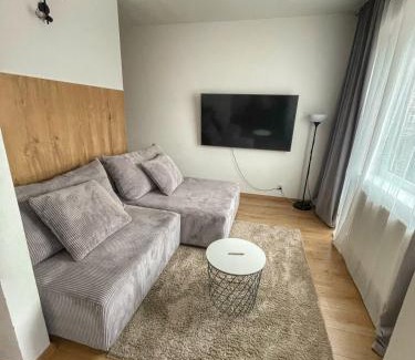 Karlovy Vary Apartment | Family-Friendly Tara Apartment with Top Guest Rating 9/10