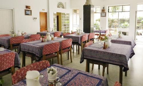 Bani Park Hotel | Discover Tara Niwas: Pet Friendly Haven with Spa & Dining